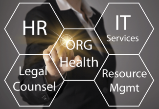 A matrix showing several professional services